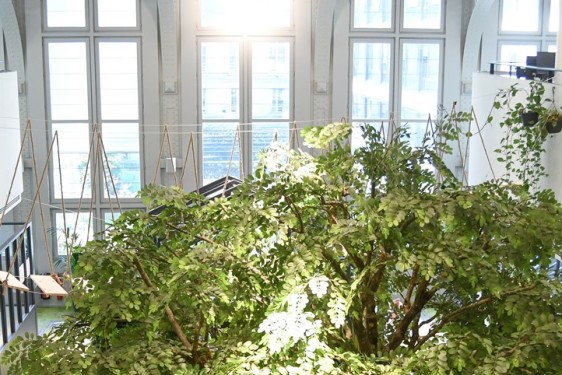 paysage d'intérieur